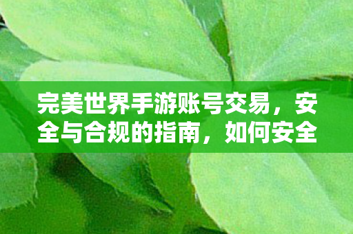 完美世界手游账号交易,安全与合规的指南,如何安全合规地进行完美世界手游账号交易? 完美世界手游账号交易,安全与合规的指南,如何安全合规地进行完美世界手游账号交易?