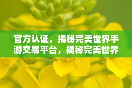 官方认证，揭秘完美世界手游交易平台，揭秘完美世界手游官方认证交易平台