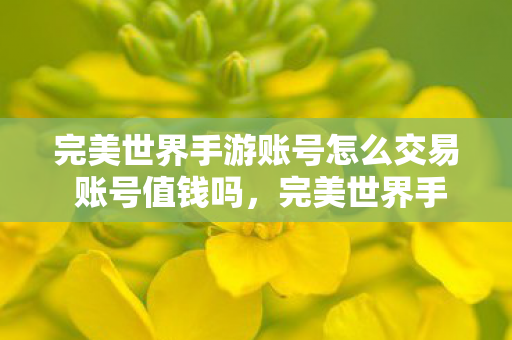 完美世界手游账号怎么交易 账号值钱吗,完美世界手游账号交易指南,如何评估账号价值? 完美世界手游账号怎么交易 账号值钱吗,完美世界手游账号交易指南,如何评估账号价值?