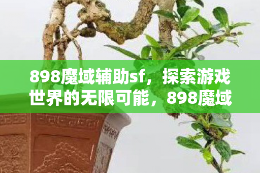 898魔域辅助sf,探索游戏世界的无限可能,898魔域辅助sf,解锁游戏世界的无限可能 898魔域辅助sf,探索游戏世界的无限可能,898魔域辅助sf,解锁游戏世界的无限可能