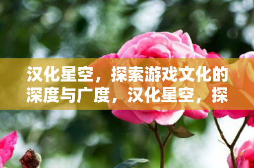 汉化星空,探索游戏文化的深度与广度,汉化星空,探索游戏文化的深度与广度 汉化星空,探索游戏文化的深度与广度,汉化星空,探索游戏文化的深度与广度