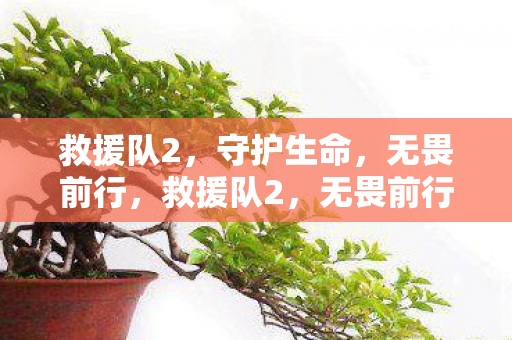 救援队2,守护生命,无畏前行,救援队2,无畏前行,守护生命 救援队2,守护生命,无畏前行,救援队2,无畏前行,守护生命