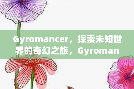 Gyromancer，探索未知世界的奇幻之旅，Gyromancer，探索未知世界的奇幻之旅