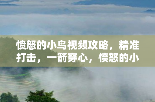 愤怒的小鸟视频攻略图片