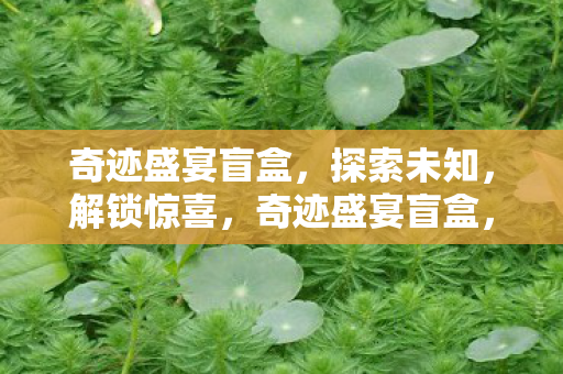 奇迹盛宴盲盒,探索未知,解锁惊喜,奇迹盛宴盲盒,解锁惊喜,探索未知 奇迹盛宴盲盒,探索未知,解锁惊喜,奇迹盛宴盲盒,解锁惊喜,探索未知