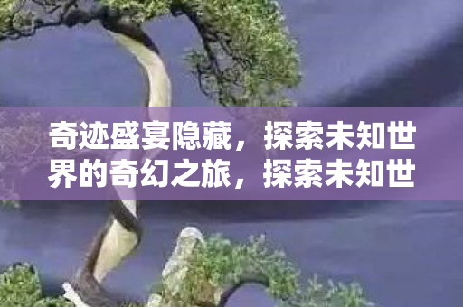 奇迹盛宴隐藏，探索未知世界的奇幻之旅，探索未知世界的奇幻之旅，奇迹盛宴隐藏