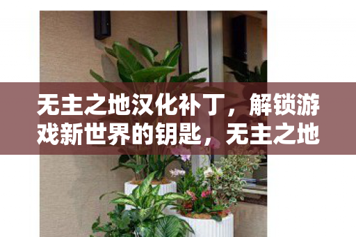 无主之地汉化补丁,解锁游戏新世界的钥匙,无主之地汉化补丁,解锁游戏新世界 无主之地汉化补丁,解锁游戏新世界的钥匙,无主之地汉化补丁,解锁游戏新世界