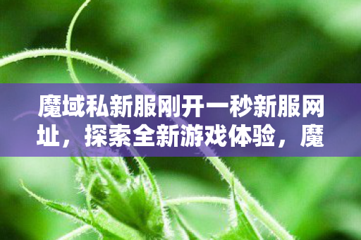 魔域私新服刚开一秒新服网址图片