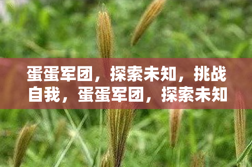 蛋蛋军团,探索未知,挑战自我,蛋蛋军团,探索未知,挑战自我 蛋蛋军团,探索未知,挑战自我,蛋蛋军团,探索未知,挑战自我