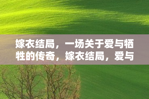 嫁衣结局,一场关于爱与牺牲的传奇,嫁衣结局,爱与牺牲的传奇 嫁衣结局,一场关于爱与牺牲的传奇,嫁衣结局,爱与牺牲的传奇