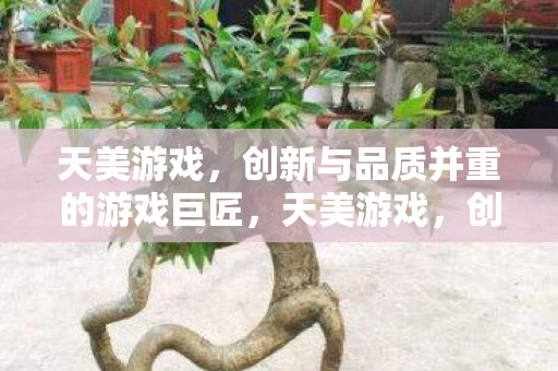 创新与品质并重的游戏巨匠图片