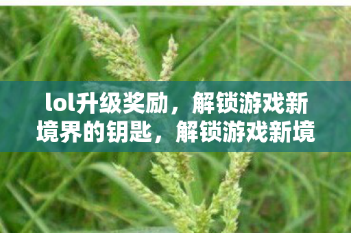 解锁游戏新境界的钥匙图片