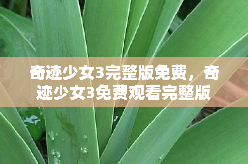 奇迹少女3完整版免费,奇迹少女3免费观看完整版 奇迹少女3完整版免费,奇迹少女3免费观看完整版