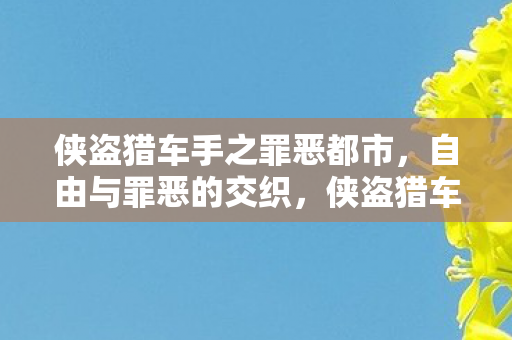 侠盗猎车手之罪恶都市,自由与罪恶的交织,侠盗猎车手之罪恶都市,自由与罪恶的交织之旅 侠盗猎车手之罪恶都市,自由与罪恶的交织,侠盗猎车手之罪恶都市,自由与罪恶的交织之旅