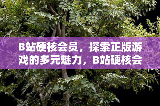 B站硬核会员,探索正版游戏的多元魅力,B站硬核会员,探索正版游戏的多元魅力 B站硬核会员,探索正版游戏的多元魅力,B站硬核会员,探索正版游戏的多元魅力